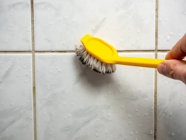 Best Mold Damage Repair  in Village Green Green Ridge, PA
